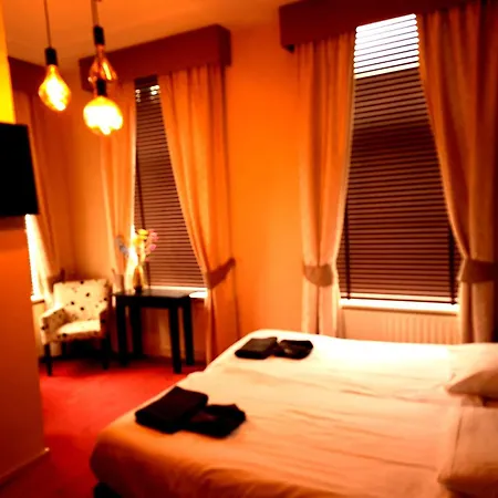 Kuiperduin فندق هوك فان هولاند